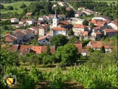 Pour finir, je vous emmène dans le Grand-Est, à Viterne. Commune de l'aire d'attraction Nancéenne, elle se situe dans le département ...
