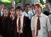 Test Qui serait ton petit ami dans ''Harry Potter'' ?