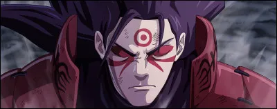 Chapitre quatrième : Est-ce que Hashirama est à un moment en mode Ermite Mokuton ?