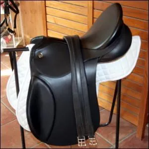 Quelle selle n'existe pas ?