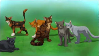 Tu as maintenant six lunes et tu deviens apprenti. Comment réagis-tu ?