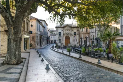 Insolite : Laquelle de ces anecdotes sur la ville d'Avignon est inexacte ?