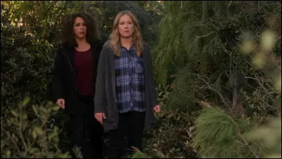 Qu'est-ce qu'a gravé Judy sur l'arbre où le cadavre de Steve est enterré ?