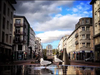 Culture : Quel est le surnom de la ville de Brest ?