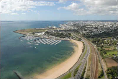 Sport : Dans quel sport s'illustre l'équipe des Albatros de Brest ?