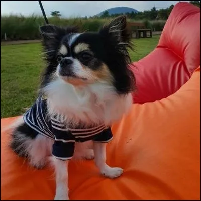 À qui appartient-il ?