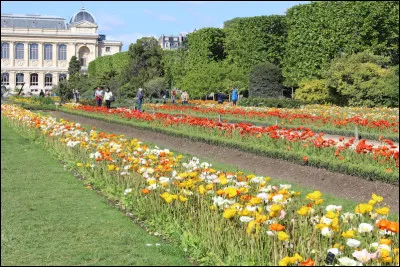 Au cours de quel siècle le Jardin des Plantes a-t-il été créé ?