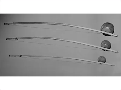 Petite question technique, là, au débotté : quels sont ces engins qui sifflent sur nos fêtes ?