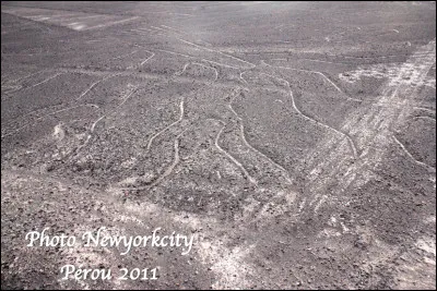 Quel est ce site insolite du Pérou, un désert avec plus de 800 lignes et géoglyphes tracés par une civilisation pré-colombienne, 200 ans avant J.-C. ?