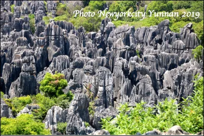 Quel est ce site, une formation karstique grise de 390 km2 qui constitue le parc naturel de Shilin dans la province du Yunnan en Chine ?