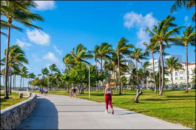 Cette plage est Venice Beach, à Los Angeles.