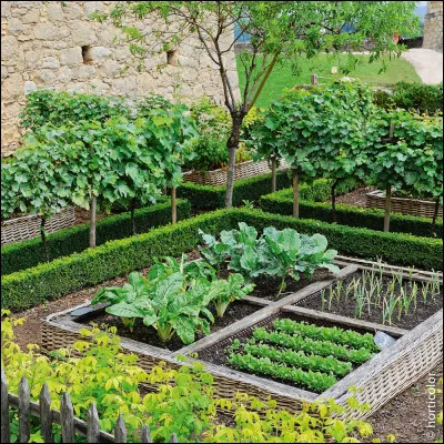 As-tu un potager ?