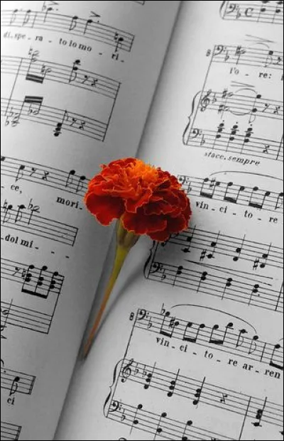 Qui est l'interprète de la chanson "Tout le monde y pense" ?