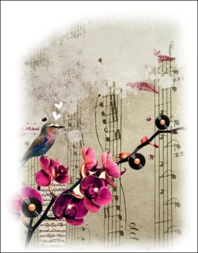 Qui chantait "Tout, tout pour ma chérie, ma chérie" ?