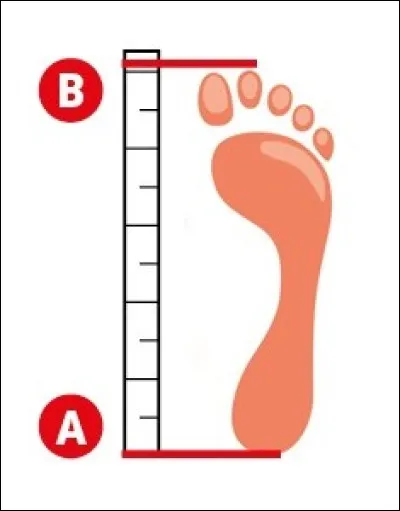 Quelle est ta pointure ?