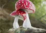 Quiz Des champignons en culture gnrale