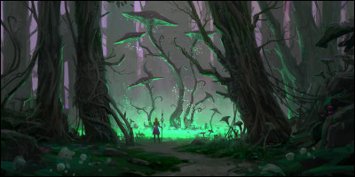 Quel est le nom donné à la culture des champignons pour le commerce ?