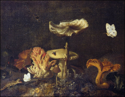 À quel genre artistique appartient cette uvre d'Otto Marseus van Schrieck ?