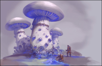 Complétez cette citation de Coluche : "Tous les champignons sont comestibles ;