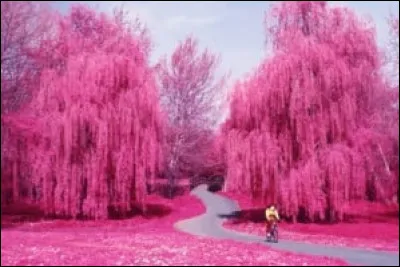 Quel est ton endroit préféré ?