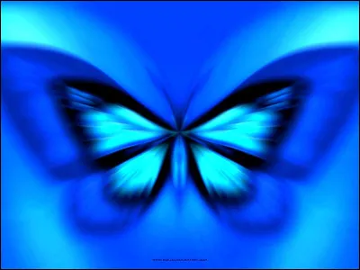 Quel est ton animal préféré ?