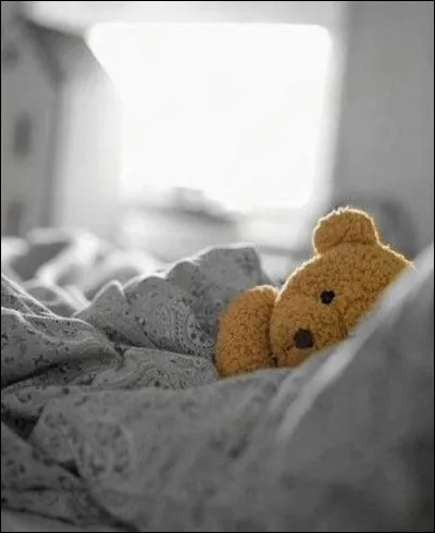 Sachant que l'hibernation est un état de léthargie et d'hypothermie régulée pour faire descendre la température de l'animal en hiver, l'ours est-il un hibernant ou un hivernant ?