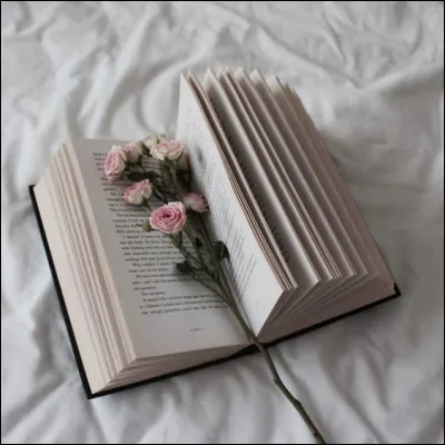 Qui est l'auteur du livre "Le Sixième Sommeil" ?