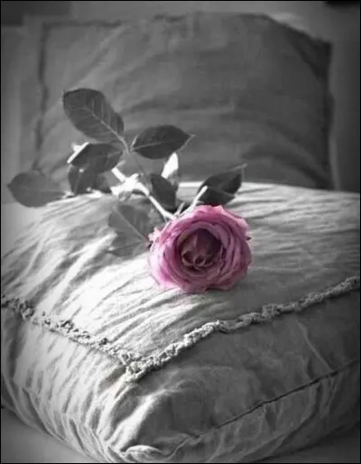 Dans laquelle de ces phases de sommeil se produisent les rêves ?