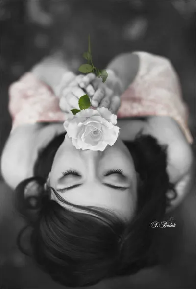 Qui est "le gardien du sommeil de ses nuits" ?