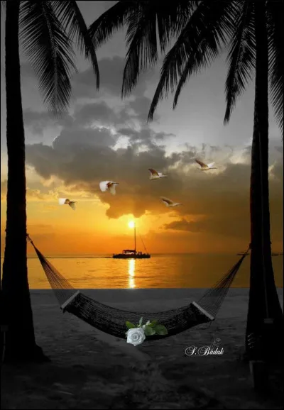 Quel chanteur insomniaque interprétait les paroles "D'avoir passé des nuits blanches à rêver ce que les contes de fées vous laissent imaginer..." ?