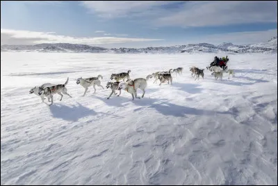 De laquelle de ces organisations internationales le Groenland fait-il partie ?
