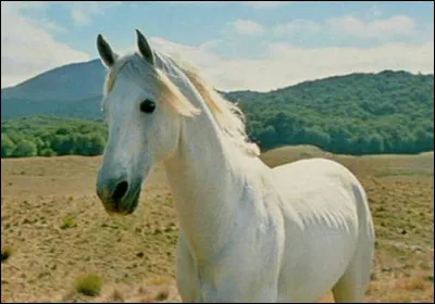 Qui a dit la phrase suivante ? : 
Oubliez le Rôdeur, devenez celui que vous deviez être.