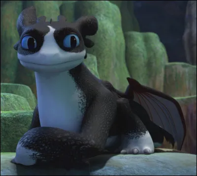 Ce deuxi&egrave;me personnage sp&eacute;cial est...