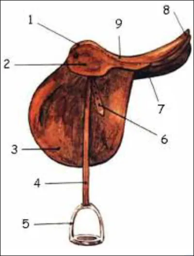Quelle est la partie n°1 de la selle ?