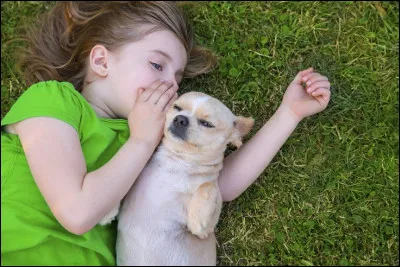 Qui est l'auteur du roman "L'Enfant qui parlait aux animaux" ?