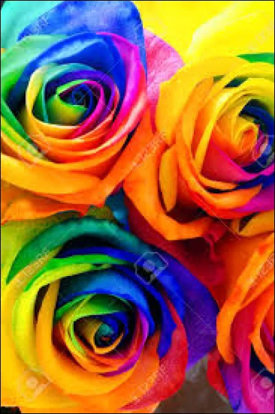 Quelle est ta couleur pr&eacute;f&eacute;r&eacute;e ?