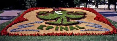 Région Grand Est : dans quel département est située la ville d'Épinal ?