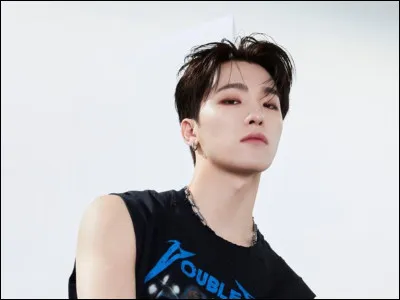 Quel âge avait Dino quand Seventeen ont fait leurs débuts ?