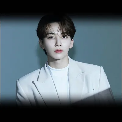 Quel idole admire Jeonghan ?