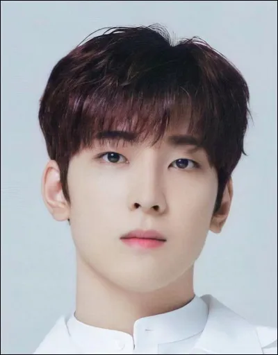 Quels aliments n'aime pas Won Woo ?