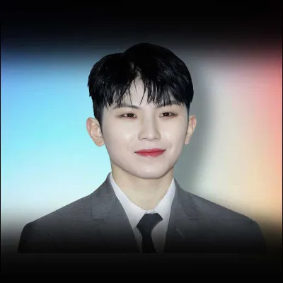 Quel chanteur admire Woozy ?