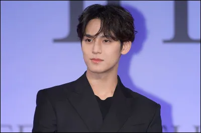 Quel continent Mingyu aimerait-il visiter ?
