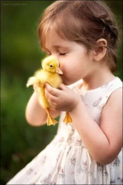 Pour quoi ne faut-il pas prendre "les enfants du bon Dieu" pour Michel Audiard en 1968 ?