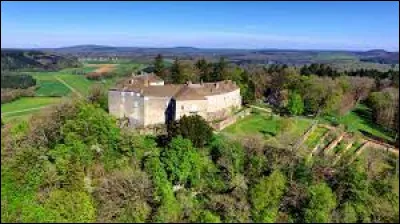 Je vous propose de partir en Bourgogne-Franche-Comté, à la découverte du château de Châtillon-sur-Lison. Ancienne commune de seulement 8 habitants, malgré tout dans l'aire d'attraction Bisontine, elle se situe dans le département ...