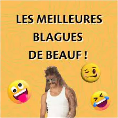 Est-ce que tu connais beaucoup de blagues ? (désolé pour la vulgarité)