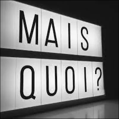Mise en situation : Tu parles tranquille avec ton pote là, et là il ne comprend pas ce que tu dis. Soudainement, il te balance un ''quoi ?''. Que réponds-tu ?