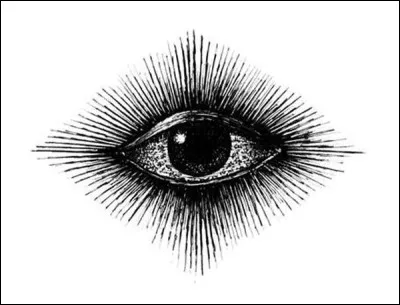 Une partie de l'il porte le nom de cette fleur :