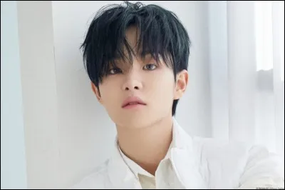 Quelle est la couleur pr&eacute;f&eacute;r&eacute;e de Jihoon ?