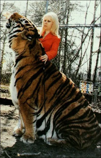 Vous ne devriez pas avoir trop de mal à trouver le pays représenté par l'animal, c'est le plus gros félin du monde !