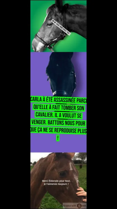 Comment ma-t-on endormie ?